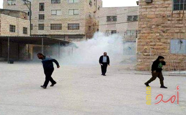 سلطات الاحتلال تدمر بسطات الباعة على معبر وادي الخليل 