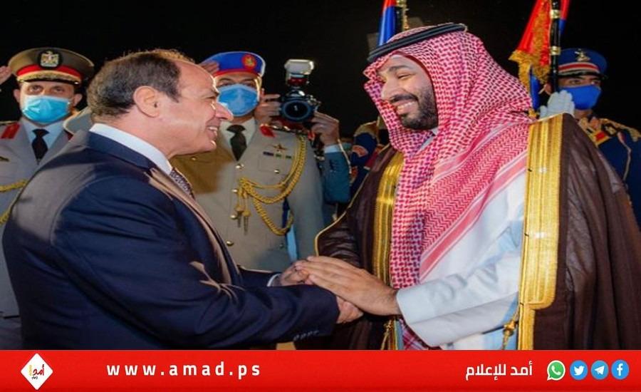 السيسي: إذا طلب منا سنتخذ أي إجراء لحماية المملكة العربية السعودية - فيديو