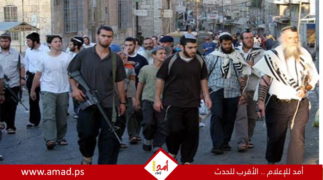 قناة أمريكية تكشف أساليب المستوطنين على أراضي الفلسطينيين في الضفة الغربية - فيديو