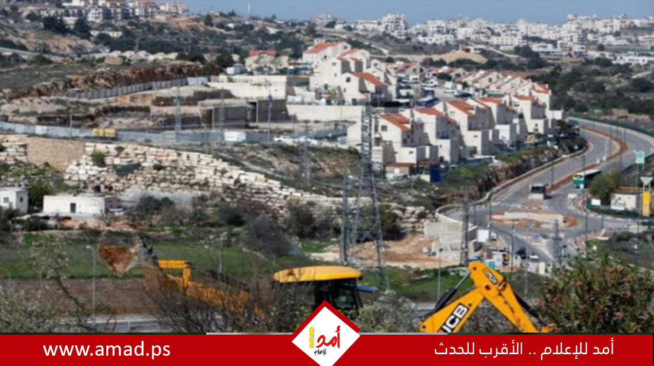 "السلام الآن": عام 2025 شهد تصعيداً استيطانياً غير مسبوق 