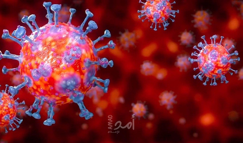 فيروس نادر يعاود الظهور ويثير القلق فى الهند بعد تسجيل وفيات بين الأطفال