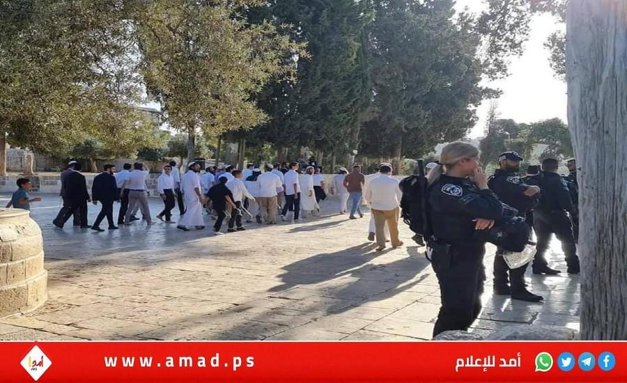 محافظة القدس: جماعات "الهيكل" تمهّد لفرض موطئ قدم ديني يهودي جديد في محيط المسجد الأقصى 