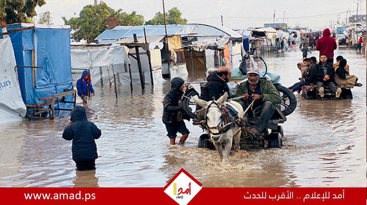 "التنمية الاجتماعية" بغزة تطلق نداء استغاثة وتُحذّر من سيناريو "غرق جماعي" لـ 300 ألف عائلة