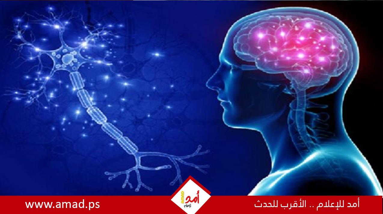 ماذا يحدث فى الدماغ عند بدء لاإصابة بمرض ألزهايمر؟