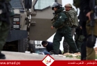 حملة اقتحامات واسعة بالضفة والقدس: اعتقالات تطال سيدةو هدم وهجمات للمستوطنين