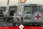الصليب الأحمر: الأيام المقبلة في غزة حاسمة ونحث الأطراف على الوفاء بالتزاماتهم
