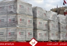 تقرير رسمي: 4 مليارات دولار إجمالي المساعدات الإماراتية لغزة منذ أكتوبر 2023
