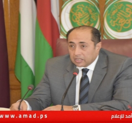الأمم المتحدة تستعد لاختيار الدبلوماسي المصري حسام زكي مبعوثًا خاصًا جديدًا لسوريا