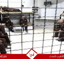 ارتفاع شهداء الحركة الأسيرة منذ بدء حرب الإبادة إلى 81: استشهاد أسير من جنين داخل سجون الاحتلال