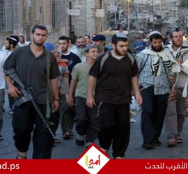 حكومة الاحتلال ترصد ميزانية لتمويل التنظيم الاستيطاني الإرهابي "شبيبة التلال"