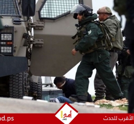 حملة اقتحامات واسعة بالضفة والقدس: اعتقالات تطال سيدةو هدم وهجمات للمستوطنين