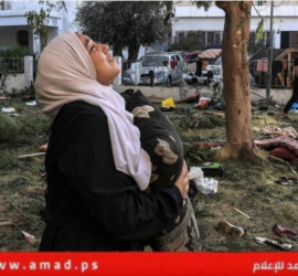 "آكشن إيد": غزة أصبحت مقبرة للنساء والفتيات بعد 200 يوم من الأزمة الانسانية