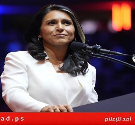 الفضيحة الكبرى..وثائق سرّية تكشفها غابارد عن دور فاوتشي  حول منشأ "كورونا"