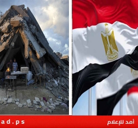 مصر تدين الانتهاكات الإسرائيلية المتكررة لوقف إطلاق النار في قطاع غزة