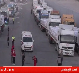 الأمم المتحدة تكشف حجم المساعدات إلى غزة منذ وقف إطلاق النار