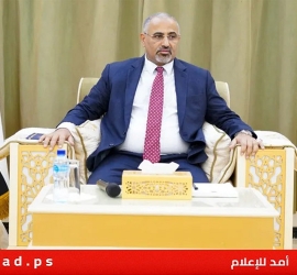 التحالف: عيدروس الزبيدي غادر عدن إلى إقليم أرض الصومال بمساعدة إماراتية
