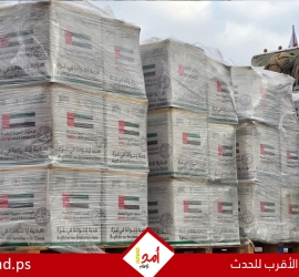 تقرير رسمي: 4 مليارات دولار إجمالي المساعدات الإماراتية لغزة منذ أكتوبر 2023