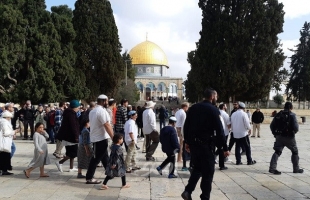 القدس: 276 مستوطنا يقتحمون المسجد الأقصى