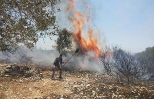 اندلاع حريق في "أشكول" بفعل بالونات حارقة أطلقت من غزة