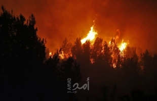 اندلاع حريق ضخم في منطقة غور الأردن