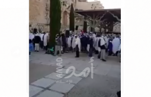 بالفيديو.. مستوطنون يقيمون "طقوس غنائية" خلف المسجد الأقصى