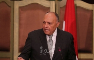 وزير الخارجية المصري شكري: الاتفاق بين تركيا وفايز السراج غير قانوني وهو والعدم سواء
