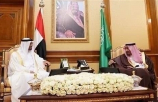 محمد بن زايد والملك سلمان يبحثان تعزيز العلاقات وعدداً من القضايا الإقليمية والدولية