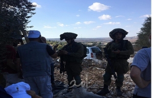 نابلس: مستوطنون يهاجمون قاطفي الزيتون في بورين