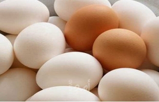 من أجل مصلحة الدجاج... المزارعون ينصحون باستهلاك البيض الأبيض وليس البني