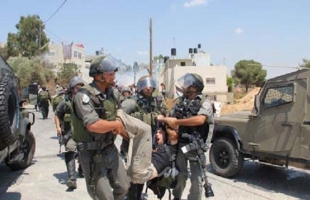 أولهم راشيل كوري.. حصيلة انتهاكات قوات الاحتلال ضد المتضامنين والمنظمات الدولية في فلسطين