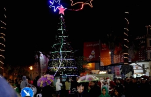 إضاءة شجرة الميلاد في نابلس