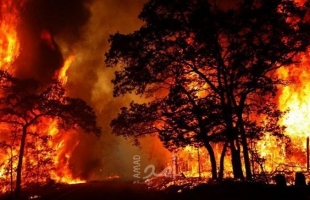 ترامب يعلن ولاية أوريغون منطقة كوارث بسبب حرائق الغابات