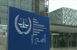 المدعية العامة للجنائية الدولية تؤكد موقفها لدى المحكمة التمهيدية والمالكي يعتبره رد قانون دولي