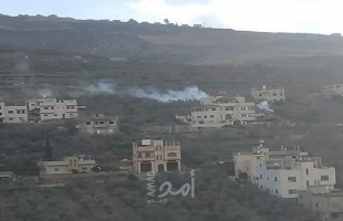 نابلس: مستوطنون يهاجمون منازل المواطنين في قرية مأدما