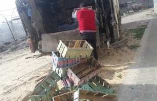 صحة غزة: اتلاف 750 كيلو من الخضروات التي ثبت ريها بالمياة المعالجة
