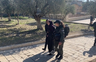 القدس: قوات الاحتلال تعتقل مواطنة مقدسية من منزلها