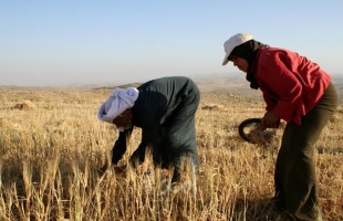الزراعة برام الله تسلم تعويضات للمزارعين في طوباس والأغوار