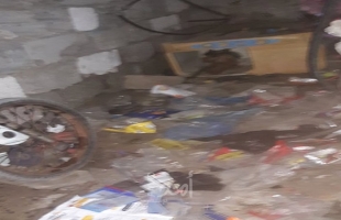 سكان "أبراج الفرا" بخانيونس يشتكون تراكم "النفايات" وانتشار الحشرات..فيديو وصور