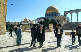 بالصور .. القدس: 296 مستوطناً اقتحموا المسجد الأقصى خلال أسبوع
