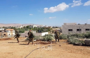 بالصور ..إسرائيل تقتلع عشرات أشجار الزيتون في الأغوار الفلسطينية
