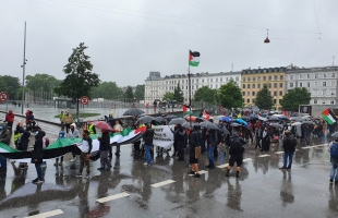 فعالية حاشدة في كوبنهاغن رفضًا لخطة الضم الإسرائيلية وصفقة ترامب