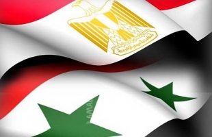 الأناضول: قوات مصرية دخلت سوريا بالتنسيق مع الحرس الثوري الإيراني ..ومرصد ينفي