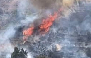 اندلاع حريق قرب الحدود اللبنانية مع إسرائيل وتخوفات من وصولها- فيديو