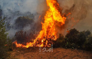 إعلام عبري: اندلاع حريقين في "إشكول" يشتبه بأنهما بفعل بالونات حارقة أطلقت من غزة