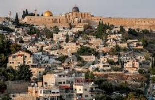القدس: مجلس الإفتاء الأعلى يحذر من تداعيات الصمت على ما يجري في القدس من تهويد
