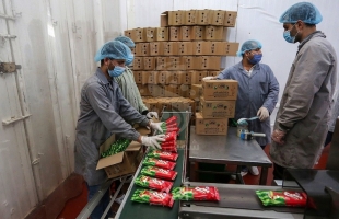 اقتصاد حماس تعلن تسهيلات جديدة للمنتجين والتجار خلال 2021