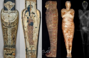 الأولى من نوعها في العالم.. اكتشاف مومياء مصرية حامل