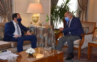 أبو الغيظ يطلع وزير خارجية قبرص على تطورات القضية الفلسطينية