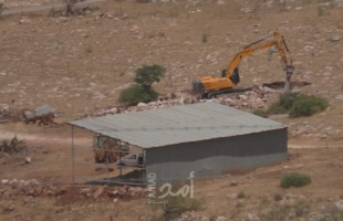 قوات الاحتلال تقتلع عشرات أشجار زيتون في الأغوار