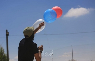 إعلام عبري: اندلاع حريقين في "أشكول" يشتبه بفعل بالونات غزة الحارقة- فيديو
